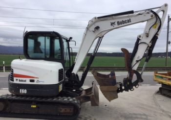 Bagger 597 Bagger Mieten – Lind Autos und Baumaschinen